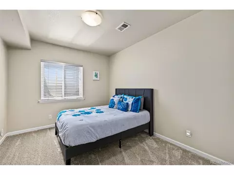 Bedroom - 313 Audubon Blvd, Severance, CO 80550 photo 9 of 12