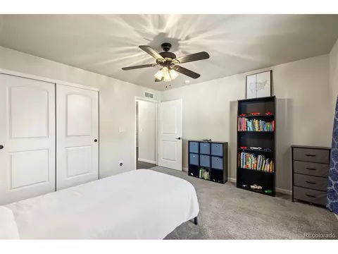Bedroom - 313 Audubon Blvd, Severance, CO 80550 photo 8 of 12