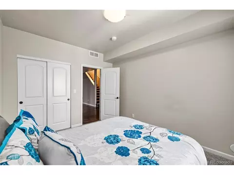 Bedroom - 313 Audubon Blvd, Severance, CO 80550 photo 10 of 12
