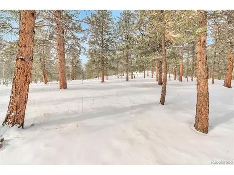 1167 Clark Rd, Bailey, CO 80421 photo 24