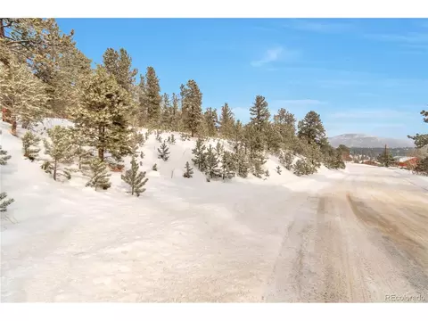 1167 Clark Rd, Bailey, CO 80421 photo 25