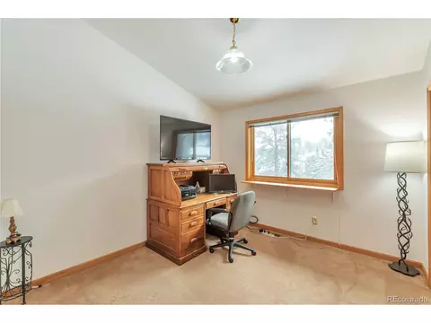 1167 Clark Rd, Bailey, CO 80421 photo 13