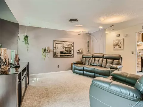 11111 Hudson Pl, Thornton, CO 80233 photo 5