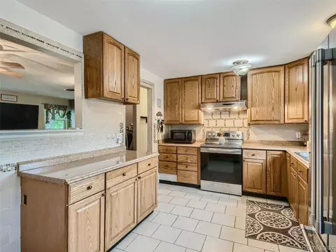 11111 Hudson Pl, Thornton, CO 80233 photo 11
