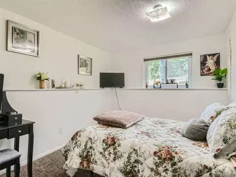 11111 Hudson Pl, Thornton, CO 80233 photo 20