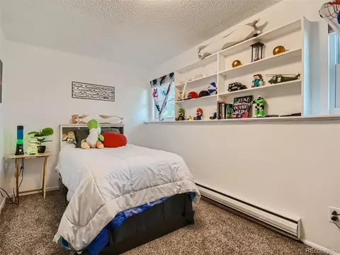 11111 Hudson Pl, Thornton, CO 80233 photo 21
