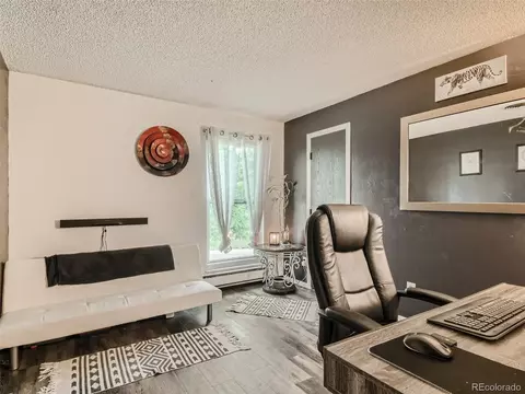 11111 Hudson Pl, Thornton, CO 80233 photo 19