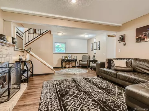 11111 Hudson Pl, Thornton, CO 80233 photo 24