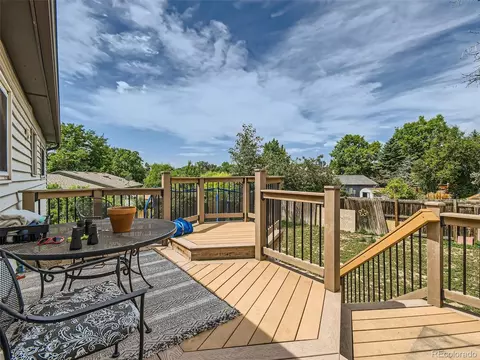 11111 Hudson Pl, Thornton, CO 80233 photo 27