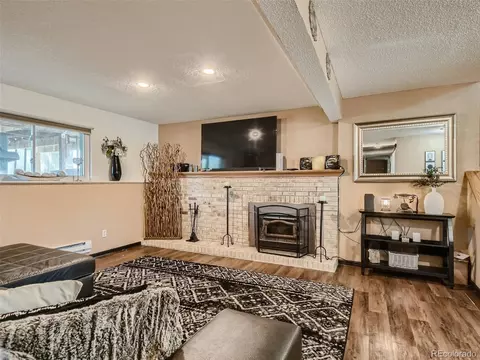 11111 Hudson Pl, Thornton, CO 80233 photo 26