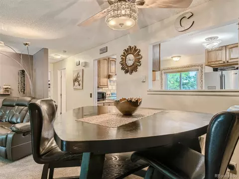 11111 Hudson Pl, Thornton, CO 80233 photo 8