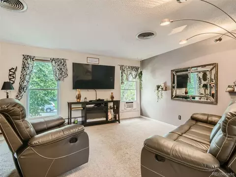 11111 Hudson Pl, Thornton, CO 80233 photo 6