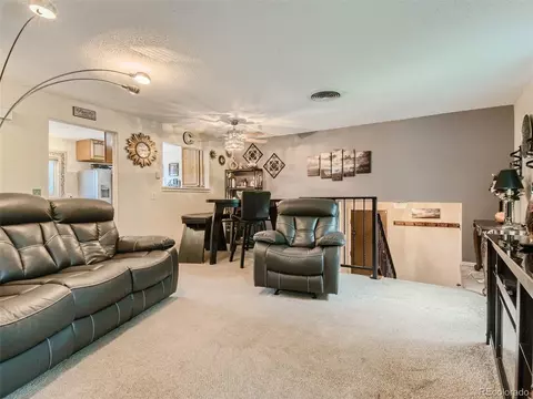 11111 Hudson Pl, Thornton, CO 80233 photo 7