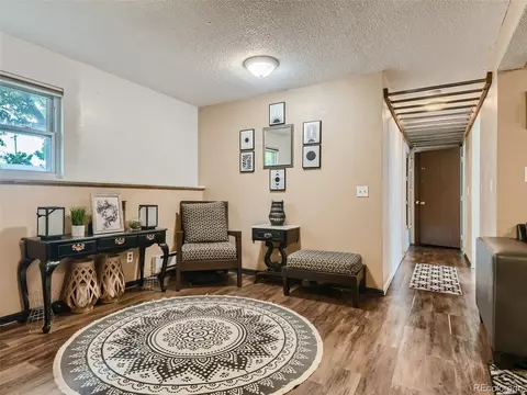 11111 Hudson Pl, Thornton, CO 80233 photo 25