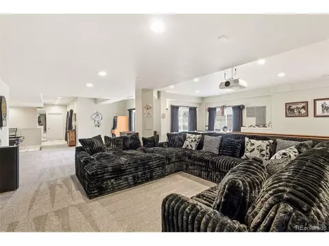 Living - 9965 E 143rd Way, Brighton, CO 80602 photo 11 of 11