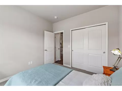 17605 Leisure Lake Dr, Monument, CO 80132 photo 32