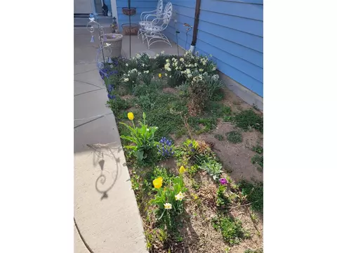 1901 Blue Mountain Ave, Berthoud, CO 80513 photo 6