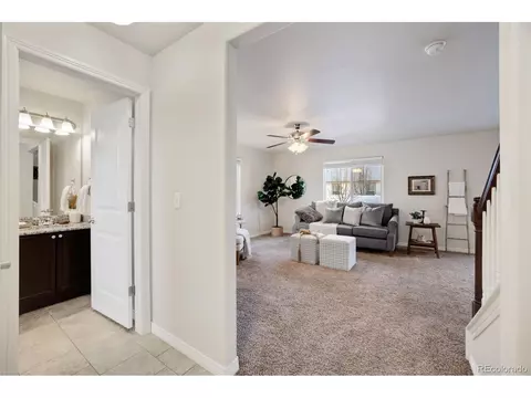 407 Wind River Dr, Windsor, CO 80550 photo 4
