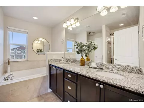 407 Wind River Dr, Windsor, CO 80550 photo 20