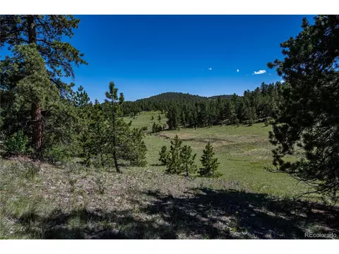 2099 Julia Rd, Guffey, CO 80820