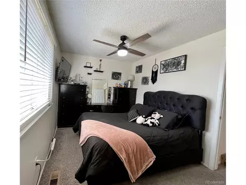 3405 E 117th Dr, Thornton, CO 80233 photo 17