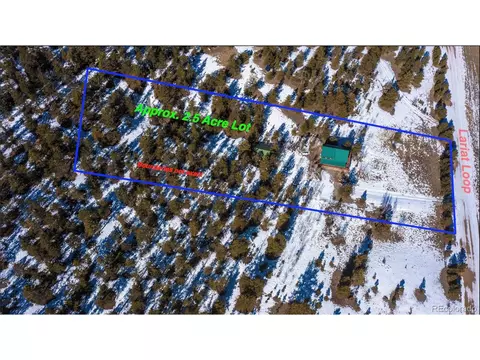 568 Lariat Loop, Hartsel, CO 80449 photo 27
