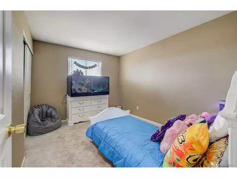 10121 Eudora Ct, Thornton, CO 80229 photo 21