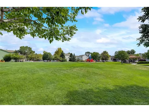 10121 Eudora Ct, Thornton, CO 80229 photo 28