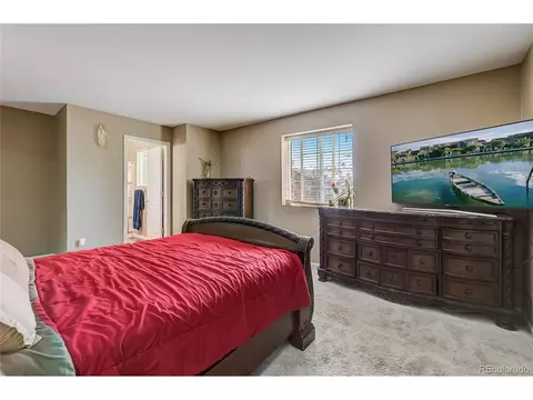 10121 Eudora Ct, Thornton, CO 80229 photo 14