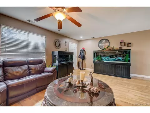 10121 Eudora Ct, Thornton, CO 80229 photo 8