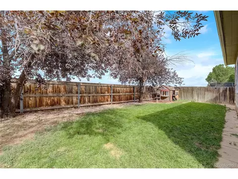 10121 Eudora Ct, Thornton, CO 80229 photo 27