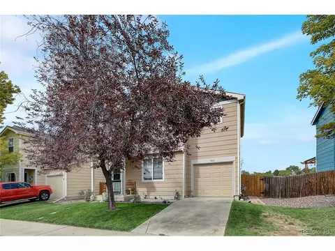 10121 Eudora Ct, Thornton, CO 80229 photo 4