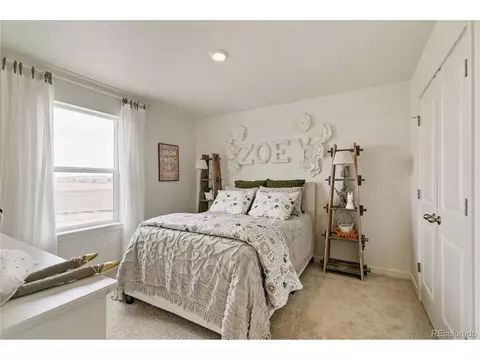 728 Lake Emerson Rd, Severance, CO 80550 photo 28