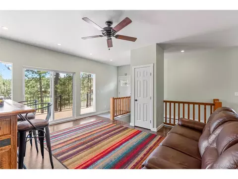 19 Navajo Trl, Pine, CO 80470 photo 9