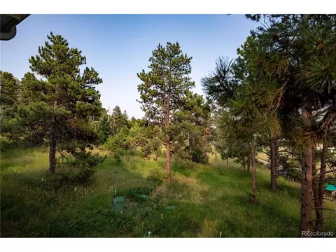 Undisclosed, Conifer, CO 80433 photo 23