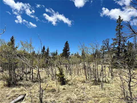 201 Kodiak Rd, Como, CO 80432 photo 4