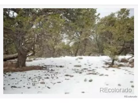 2741 Easy Pl, Crestone, CO 81131 photo 3