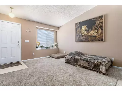 19368 E 41st Ave, Denver, CO 80249 photo 7