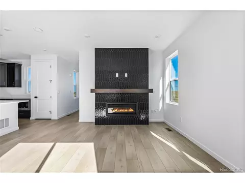 12058 Octave Ave, Lone Tree, CO 80124 photo 10
