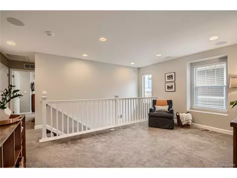 10821 E 28th Pl, Denver, CO 80238 photo 24