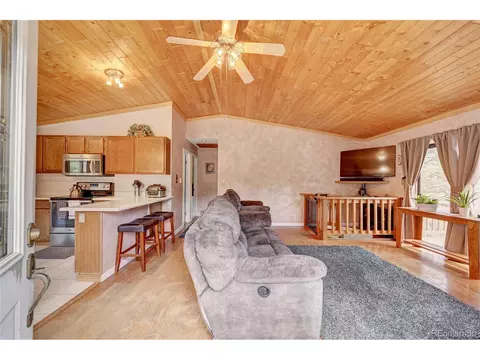 499 Wisp Creek Dr, Bailey, CO 80421 photo 8