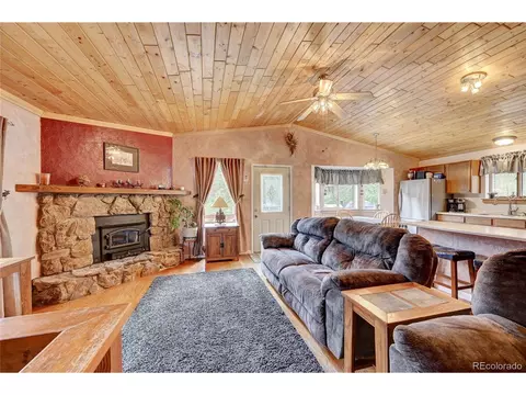 499 Wisp Creek Dr, Bailey, CO 80421 photo 11