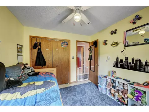 499 Wisp Creek Dr, Bailey, CO 80421 photo 17