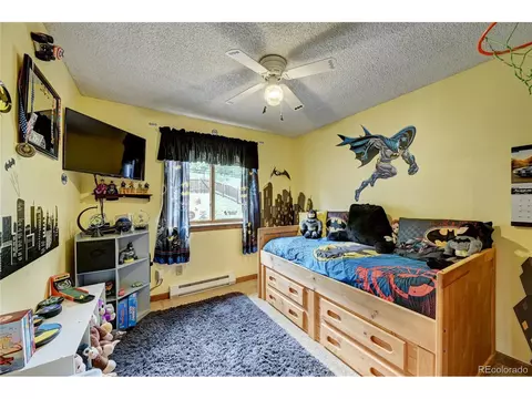 499 Wisp Creek Dr, Bailey, CO 80421 photo 16