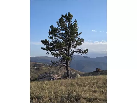 443 Meadow Mountain Dr, Livermore, CO 80536