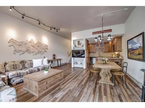 204 Miners Creek Rd #C, Frisco, CO 80443