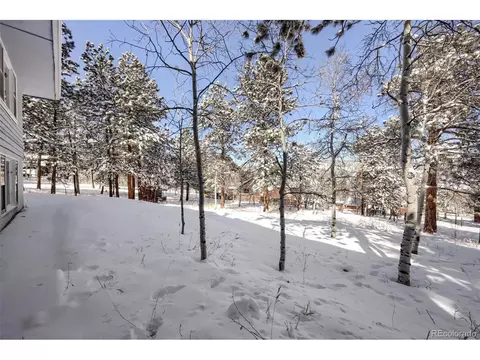 41 Yew Ln, Bailey, CO 80421 photo 33