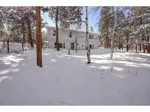41 Yew Ln, Bailey, CO 80421 photo 34