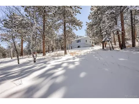 41 Yew Ln, Bailey, CO 80421 photo 35