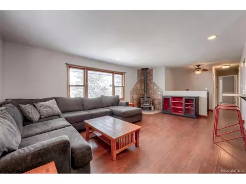 41 Yew Ln, Bailey, CO 80421 photo 12